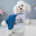 Four - legged Clothes Handsome British Dog Padded Clothes - Image 5