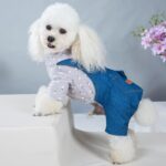 Four - legged Clothes Handsome British Dog Padded Clothes - Image 3