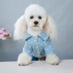 Four - legged Clothes Handsome British Dog Padded Clothes - Image 2