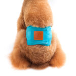 New Solid Color Physiology Pants For Male Dogs - Image 2