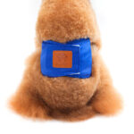 New Solid Color Physiology Pants For Male Dogs - Image 5
