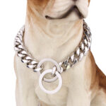 Stainless Steel Pet Casting Coarse Traction Chain - Image 3