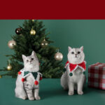 Christmas Cat Scarf Ornaments Cute Dog Scarf Winter Warm Knitted Small Milk Cat Scarf Clothes - Image 5