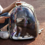 Pawful Space Travel Backpack - Image 3
