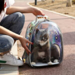 Pawful Space Travel Backpack - Image 2