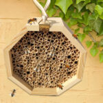 Wooden Bee Breeding Box Combination - Image 6