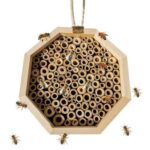 Wooden Bee Breeding Box Combination - Image 4