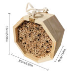 Wooden Bee Breeding Box Combination - Image 5