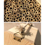 Wooden Bee Breeding Box Combination - Image 3
