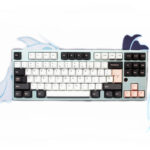 Ps Set Cheese Green Nautilus Graphite Cyan Two-Color Pbt Mechanical Keycap - Image 6