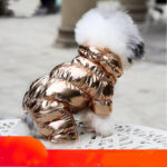 Puppy Pomeranian Bichon Pet Clothes - Image 3