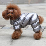 Puppy Pomeranian Bichon Pet Clothes - Image 5