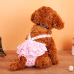 Teddy Dog Menstrual Polka Dot Skirt Physiological Pants - Image 4