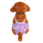 Teddy Dog Menstrual Polka Dot Skirt Physiological Pants - Image 2
