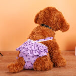Teddy Dog Menstrual Polka Dot Skirt Physiological Pants - Image 3