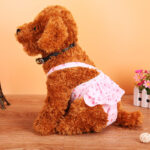 Teddy Dog Menstrual Polka Dot Skirt Physiological Pants - Image 5