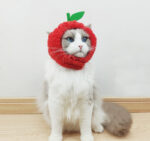 Cute Pineapple Cat Hat Warm Puppet Headdress - Image 2