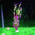 Aquarium Simulation Water Plants North American Fish Tank Landscaping Aquarium Decorations Fake Fish Grass Seabed Thin Strips Of Water Kelp Grass - Image 7
