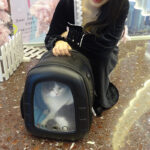 Pet Capsule Backpack Going Out Portable Cat Pack Pet Pack - Image 5