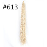 Dirty Braid Irregular Crochet Hair - Image 3