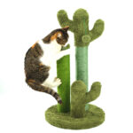 Cats Scratching Kitten Climbing Cactus Tree - Image 2