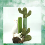 Cats Scratching Kitten Climbing Cactus Tree - Image 3