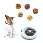 Pet Six-Hole Smart Timing Feeder Dog Timing Quantitative Voice Reminder Cat Automatic Feeder - Image 4