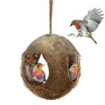 Creative Coconut Shell Bird Nest Feeder - Image 2