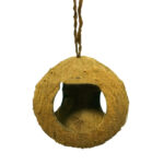 Creative Coconut Shell Bird Nest Feeder - Image 3