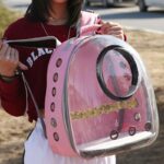 Pet bag Starling Parrot Outing Portable Bag Multifunctional - Image 8