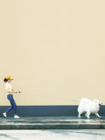 Meng Wangxing UFO Retractable Leash Dog Small and Medium-sized Dog Teddy Dog Leash Golden Retriever Dog Chain Pet Supplies - Image 5