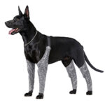 Doughton's New Doggie Outdoor Four-Legged Pants