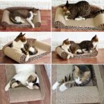 Cat Toy Corrugated Cat Scratch Board Extra Large - Image 5