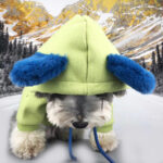 Dog Clothes Autumn And Winter Clothes Cotton Small Dog Xia Jiarong Pet Sweater - Image 4