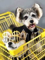 Dog Clothes Spring And Autumn New Sweater Summer - Image 2