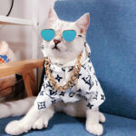 Creative New Products New Pet Glasses Cat Polarized Sunglasses Dog Sunglasses Funny Personality Jewelry - Image 6
