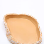 Water Tray Tortoise Lizard Gecko Horned Frog Sea View Aquarium Reptile Supplies - Image 3