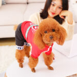 Small Dog Bichon Winter Pet Winter Clothes Four-Legged Warm - Image 3