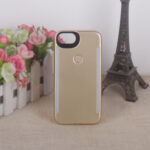 Fits with the Apple 11 12 Glow case - Image 5