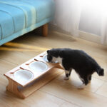 Solid Wood Cat Dining Table Simple Sloped Anti-choking Cat Bowl Cat Food Bowl - Image 3