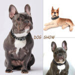 Medium And Large Dog Dog Leash Stainless Steel Dog Collar Collar Anti-Bite Plus Thick Neck Collar Medium And Large Dog Bully Kaslow - Image 5