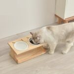Ceramic Cat Food Bowl Rice Bowl Water Bowl Bowl Rack - Image 4