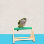 Pet Supplies Solid Wood Stand - Image 5
