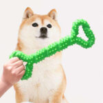 Pet Molar Bite Resistant Stick With Stab Toy Dog Trainer - Image 4