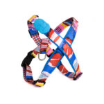 Shaped Chest Strap Can Protect The Tracheal Vest Type Pet Rope - Image 3