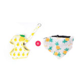 Cat Traction Rope Cute Fruit Anti-Break Away Cat Walking Cat Walking Rope - Image 6