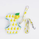 Cat Traction Rope Cute Fruit Anti-Break Away Cat Walking Cat Walking Rope - Image 2