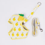 Cat Traction Rope Cute Fruit Anti-Break Away Cat Walking Cat Walking Rope - Image 3