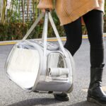 Pet Go Out Portable Space Capsule Pet Backpack Multi-Purpose Shoulder Transparent Portable - Image 5