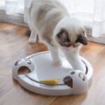 Auto-rotating Mouse Turntable Intelligent Electric Play Disc Toy - Image 6